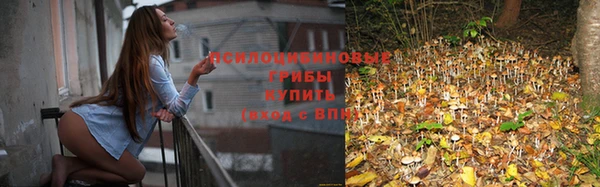 мет Белокуриха