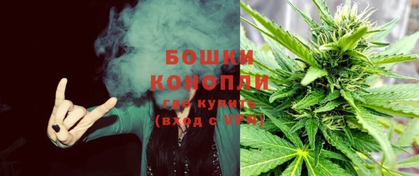 твердый Богородск